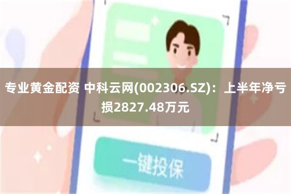 专业黄金配资 中科云网(002306.SZ)：上半年净亏损2827.48万元