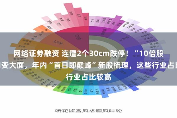 网络证劵融资 连遭2个30cm跌停！“10倍股”大肉变大面，年内“首日即巅峰”新股梳理，这些行业占比较高