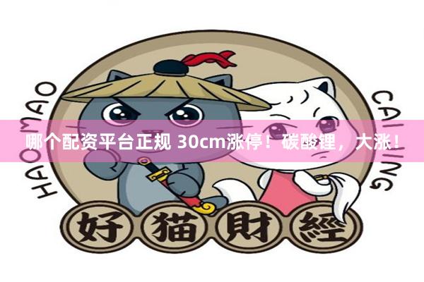 哪个配资平台正规 30cm涨停！碳酸锂，大涨！