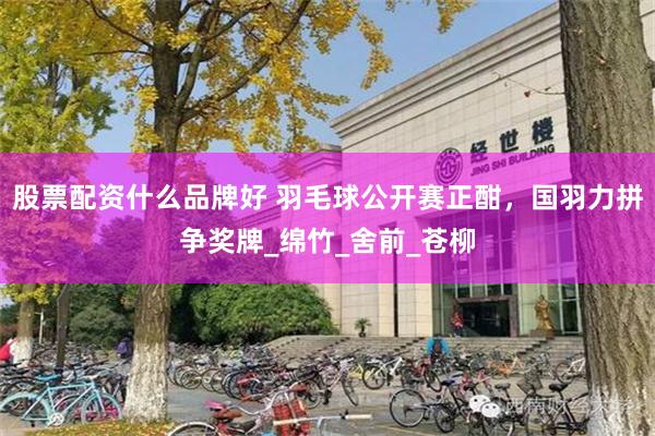 股票配资什么品牌好 羽毛球公开赛正酣，国羽力拼争奖牌_绵竹_舍前_苍柳
