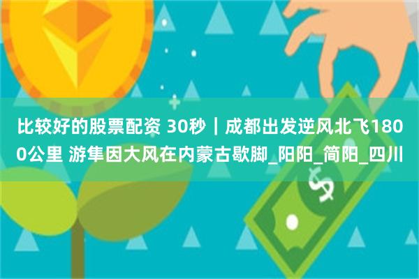 比较好的股票配资 30秒｜成都出发逆风北飞1800公里 游隼因大风在内蒙古歇脚_阳阳_简阳_四川