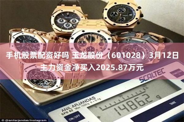 手机股票配资好吗 玉龙股份（601028）3月12日主力资金净买入2025.87万元