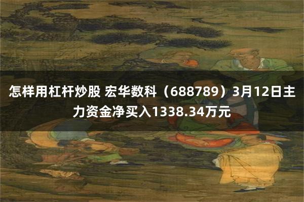 怎样用杠杆炒股 宏华数科（688789）3月12日主力资金净买入1338.34万元
