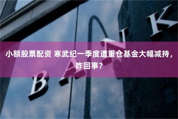小额股票配资 寒武纪一季度遭重仓基金大幅减持，咋回事？