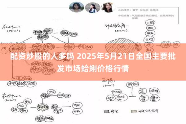 配资炒股的人多吗 2025年5月21日全国主要批发市场蛤蜊价格行情