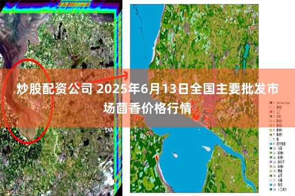 炒股配资公司 2025年6月13日全国主要批发市场茴香价格行情