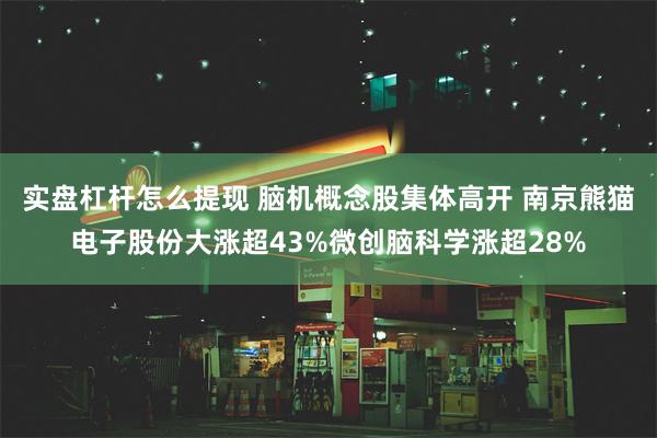实盘杠杆怎么提现 脑机概念股集体高开 南京熊猫电子股份大涨超43%微创脑科学涨超28%