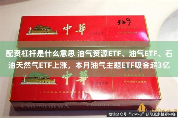 配资杠杆是什么意思 油气资源ETF、油气ETF、石油天然气ETF上涨，本月油气主题ETF吸金超3亿
