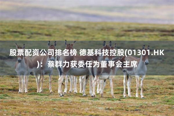 股票配资公司排名榜 德基科技控股(01301.HK)：蔡群力获委任为董事会主席