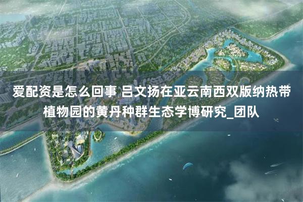 爱配资是怎么回事 吕文扬在亚云南西双版纳热带植物园的黄丹种群生态学博研究_团队