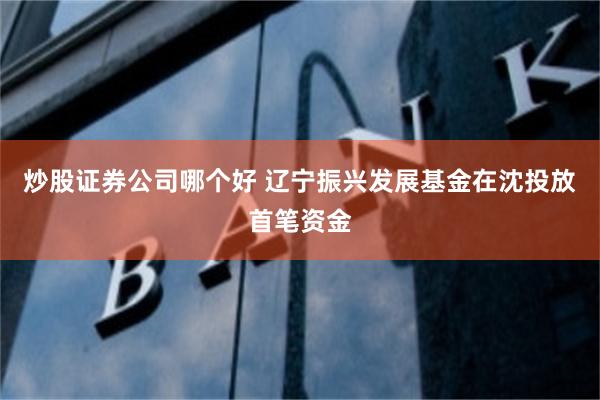 炒股证券公司哪个好 辽宁振兴发展基金在沈投放首笔资金