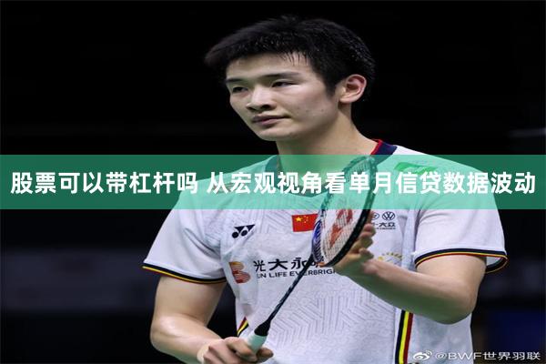 股票可以带杠杆吗 从宏观视角看单月信贷数据波动