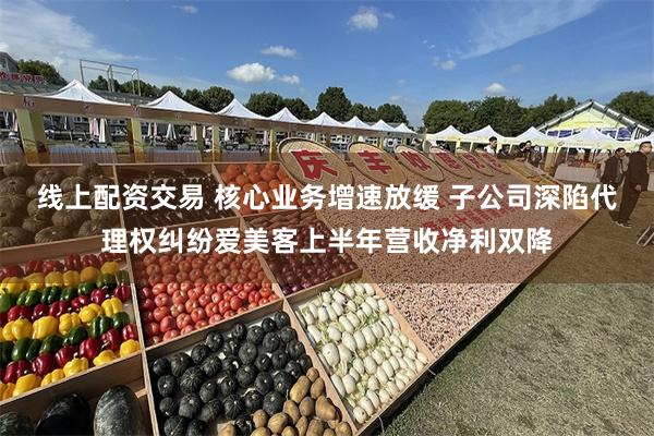 线上配资交易 核心业务增速放缓 子公司深陷代理权纠纷爱美客上半年营收净利双降
