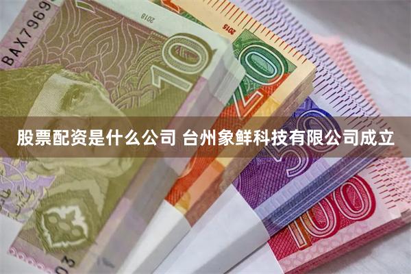 股票配资是什么公司 台州象鲜科技有限公司成立