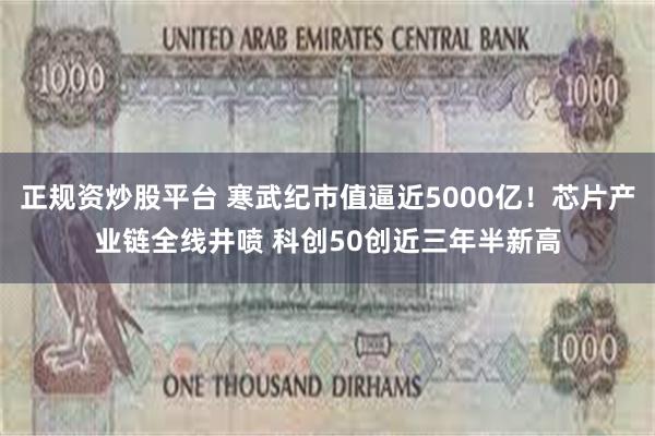 正规资炒股平台 寒武纪市值逼近5000亿！芯片产业链全线井喷 科创50创近三年半新高