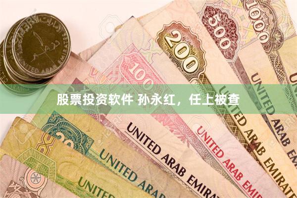 股票投资软件 孙永红，任上被查