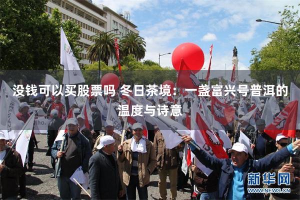 没钱可以买股票吗 冬日茶境：一盏富兴号普洱的温度与诗意